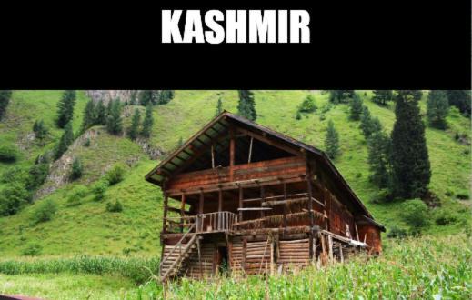Hotel Kashmir Hill Town Srīnagar Exterior foto